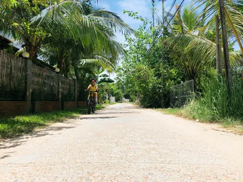 Bán đất đường ĐX17 Cẩm Thanh Hội An - Khu vực tập trung nhiều Homestay Villa (MS450)