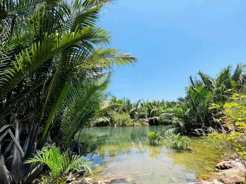 HÀNG HIẾM: Bán Đất Sở Hữu View Sông Cẩm Châu Hội An - Thích hợp sinh thái nghỉ dưỡng (MS451)