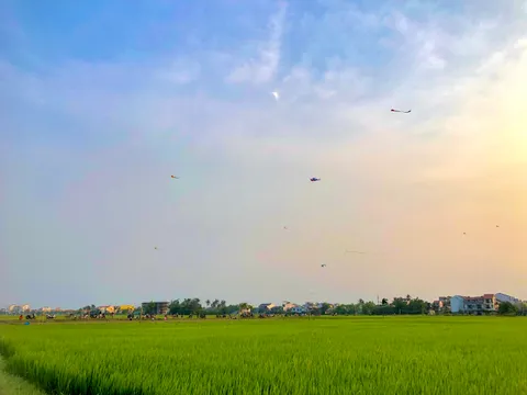 Bán Đất View Lúa Ngay Trung Tâm Hội An – Vị Trí Thích Hợp Cho Nhà Đầu Tư Du Lịch Nghỉ Dưỡng (MS512)