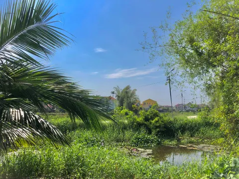 Bán đất View Lúa Cánh Đồng An Mỹ 200m - Hội An. Khu vực kinh doanh Villa, Homestay (MS05)