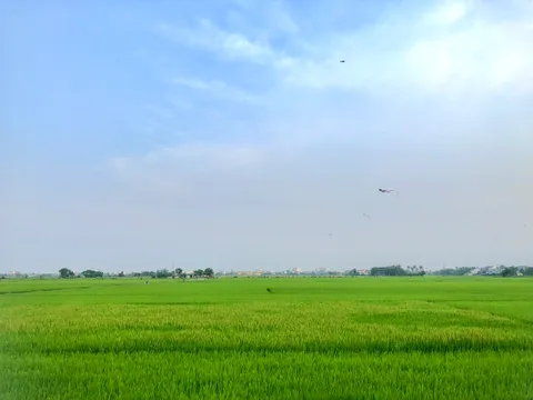 Duy Nhất Một Lô View Lúa Ngay Trung Tâm Hội An – Vị Trí Đắt Giá Cho Nhà Đầu Tư Du Lịch Nghỉ Dưỡng (MS505)