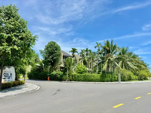 Bán Đất Gần Làng Rau Trà Quế – Gần Biển An Bàng - Đường Rộng Thông Thoáng (MS508)