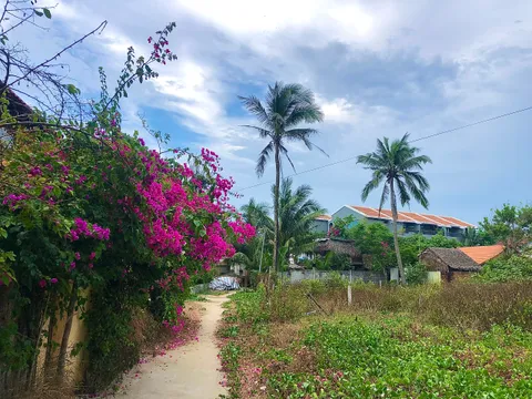 Bán Đất Bãi Biển An Bàng Hội An - Gần Chợ Tiện Ích Đầy Đủ - Bề Ngang 10m Cực Đẹp (MS479)