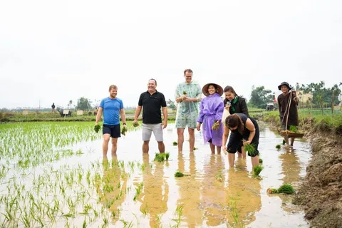 Siêu Phẩm Đầu Tư "CÓ 1 KHÔNG 2" Tại Hội An. Đất 2 Mặt VIEW LÚA - Hội An. Chạm Vào Thiên Nhiên Hoàn Hảo (MS493)