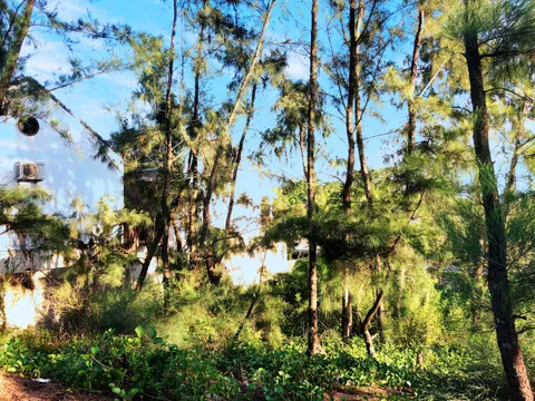 Chính chủ gửi bán đất View trực diện Biển Tân Thành - An Bàng - Hội An (MS226)