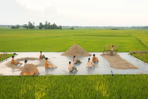 Không tìm ra lô thứ 2 đất View Lúa đường Lê Thánh Tông - An Mỹ - Hội An. Thích hợp xây dựng nghĩ dưỡng (MS446)