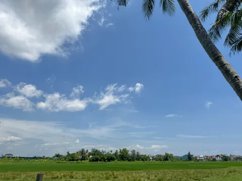 HÀNG HIẾM: Bán Đất View Lúa Lên Đến 55m – Vị Trí Thích Hợp Cho Nhà Đầu Tư Du Lịch Nghỉ Dưỡng - Cách Phố Cổ Hội An Chỉ 2km (MS539)