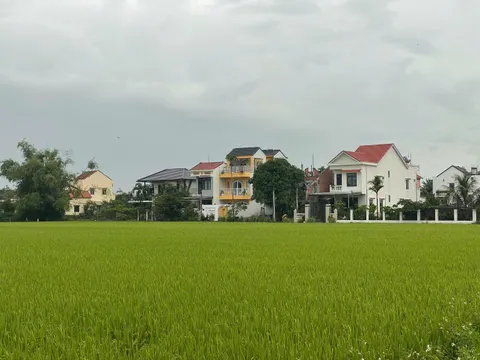 Bán Villa View Lúa An Mỹ Hội An – Không Gian Nghỉ Dưỡng Xanh, Thoáng Đẹp Với Hồ Bơi Riêng (MS550)
