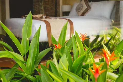 Bán Villa 9P FULL Nội Thất - Quần Thể tại Khu Phố Đi Bộ thứ 2 Hội An (MS77)