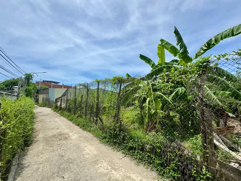 Bán Đất Gần Ngay Cánh Đồng Lúa An Mỹ - Hội An - Khu Vực Tập Trung Villa, Homestay (MS529)