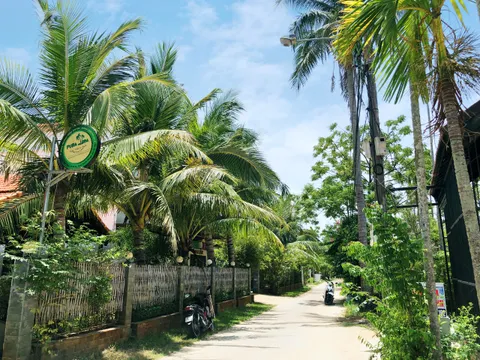 Hoàn toàn đất ở lên đến 2222m mặt tiền đường DX17 Cẩm Thanh Hội An View Dừa Sông - Phù hợp xây dựng Resort Mini (MS464)