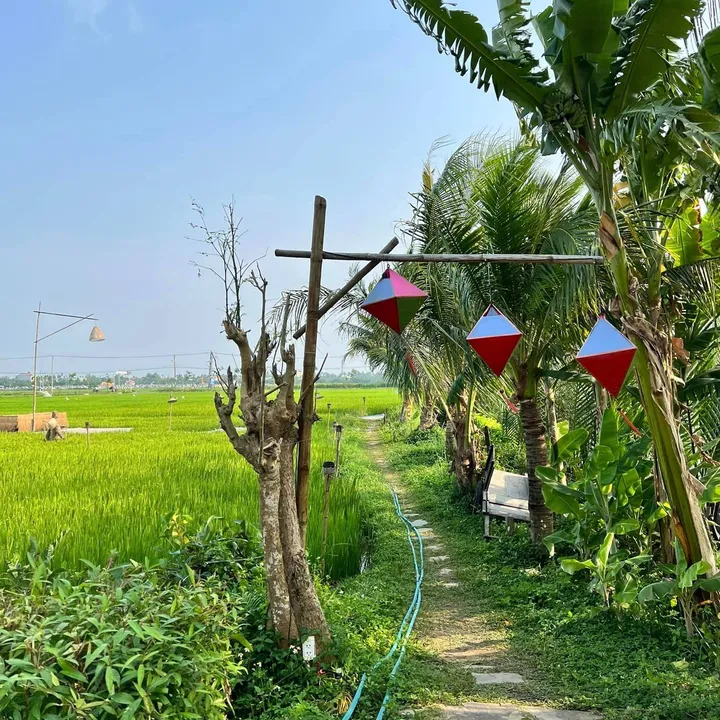 SỐC: Chỉ 20 triệu/m sở hữu mảnh đất ngay tại Cánh Đồng An Mỹ - Hội An. Khu vực nhiều Villa Homestay (MS449)