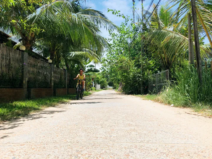 Bán đất đường ĐX17 Cẩm Thanh Hội An - Khu vực tập trung nhiều Homestay Villa (MS450)