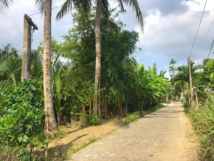 Bán đất đường ĐX17 Cẩm Thanh Hội An - Khu vực tập trung nhiều Homestay Villa (MS450)