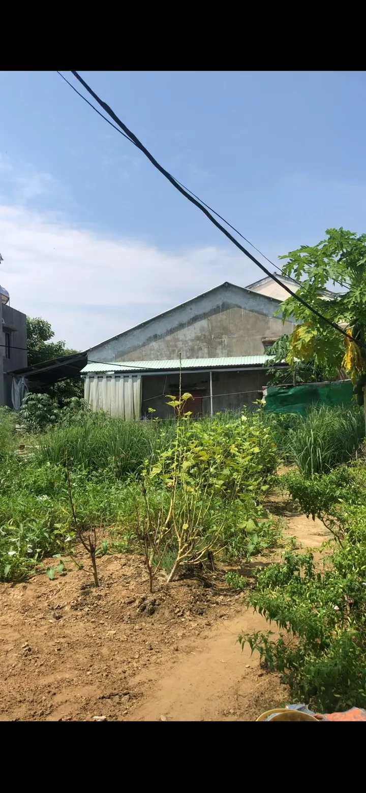 HÀNG HIẾM: Bán Đất Sở Hữu View Sông Cẩm Châu Hội An - Thích hợp sinh thái nghỉ dưỡng (MS451)