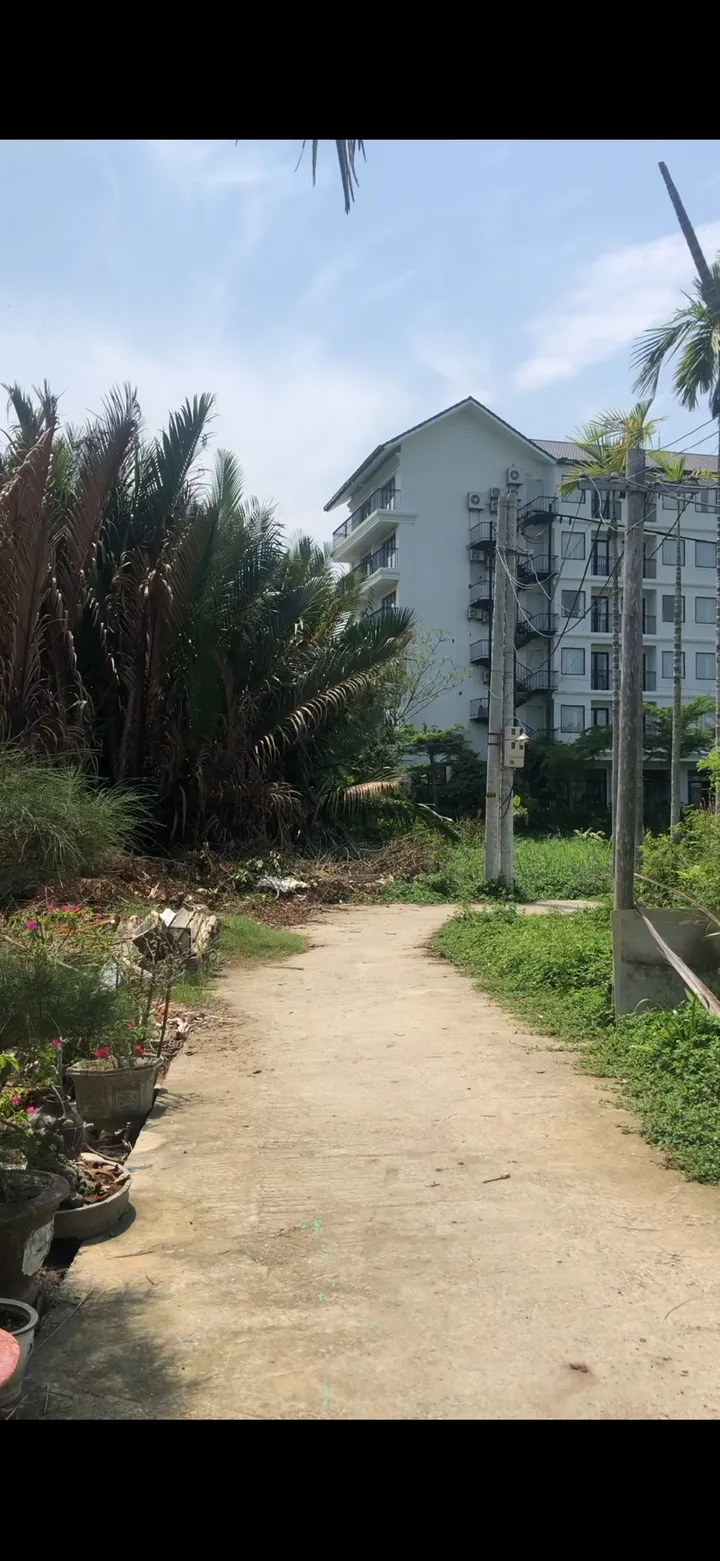 HÀNG HIẾM: Bán Đất Sở Hữu View Sông Cẩm Châu Hội An - Thích hợp sinh thái nghỉ dưỡng (MS451)
