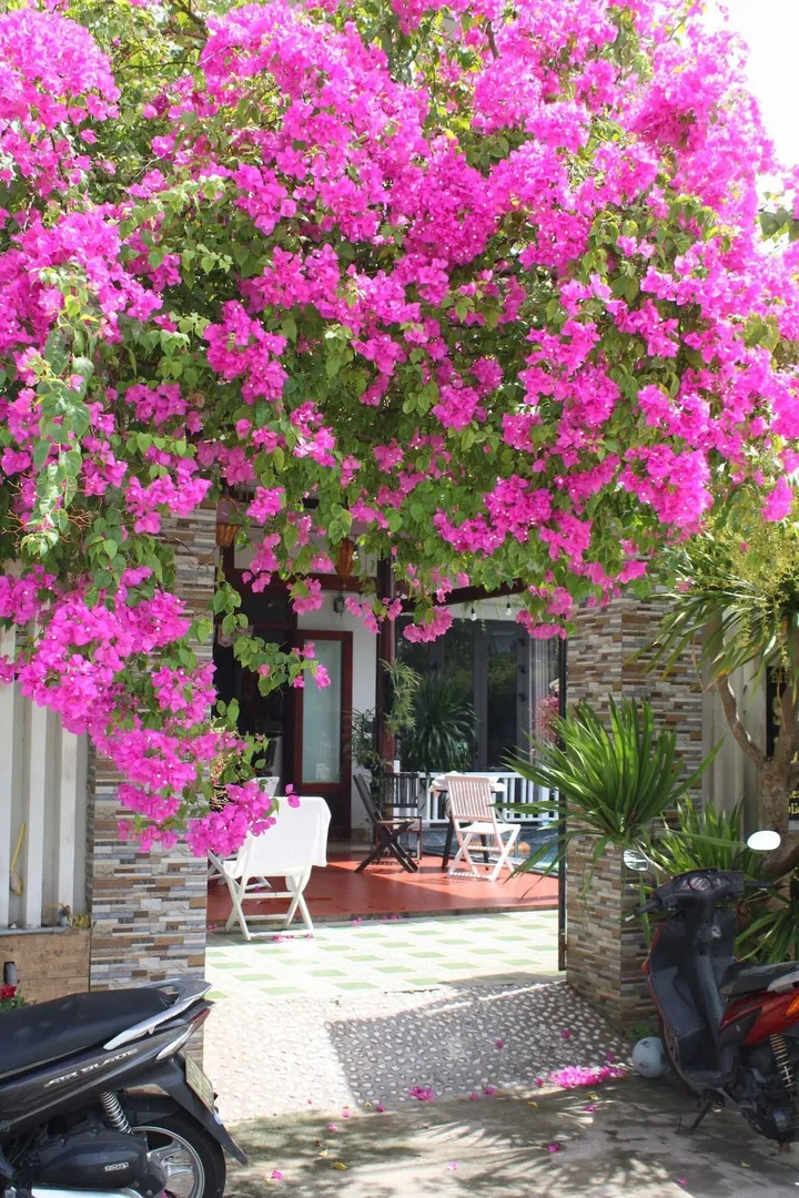 BÁN VILLA ĐẸP LÀNG CHÀI AN BÀNG – HỘI AN -VỊ TRÍ ĐẮC ĐỊA – KỀ SÔNG, CẬN BIỂN – KINH DOANH VẬN HÀNH NGAY (MS468)