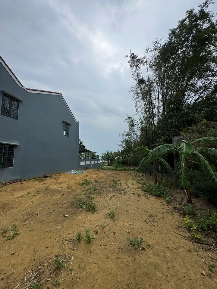 Bán Đất View Lúa Ngay Trung Tâm Hội An – Vị Trí Thích Hợp Cho Nhà Đầu Tư Du Lịch Nghỉ Dưỡng (MS512)