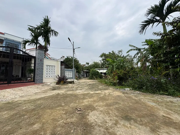 Bán Đất View Lúa Ngay Trung Tâm Hội An – Vị Trí Thích Hợp Cho Nhà Đầu Tư Du Lịch Nghỉ Dưỡng (MS512)