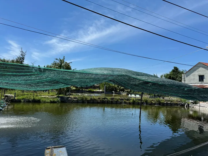 Đầu Tư Nghỉ Dưỡng Sinh Thái – Đất View Hồ Tống Văn Sương, Cẩm Thanh – Tiềm Năng Du Lịch Vượt Trội Tại Hội An (MS531)