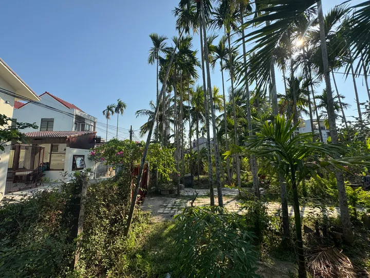 Bán Đất Tặng Nhà Cẩm Thanh Hội An - Khu Vực Tập Trung Villa, Homestay - Đường Rộng Thông Thoáng (MS536)