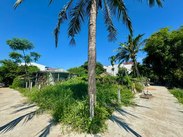 SIÊU HỜI: Sở hữu hơn 20m View Lúa trực diện - Cách Phố Cổ chỉ 900m - Giá CHỈ 30 triệu/m (MS393)