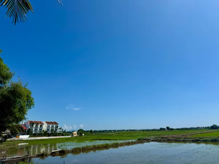 Duy Nhất Một Lô View Lúa Ngay Trung Tâm Hội An – Vị Trí Đắt Giá Cho Nhà Đầu Tư Du Lịch Nghỉ Dưỡng (MS505)