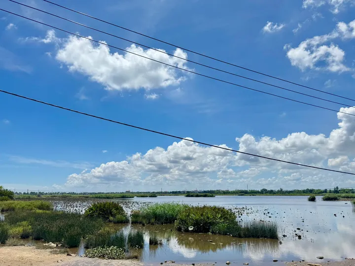 Bán Đất Gần Làng Rau Trà Quế – Gần Biển An Bàng - Đường Rộng Thông Thoáng (MS508)