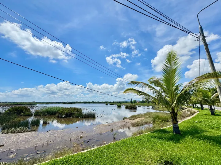 Bán Đất Gần Làng Rau Trà Quế – Gần Biển An Bàng - Đường Rộng Thông Thoáng (MS508)