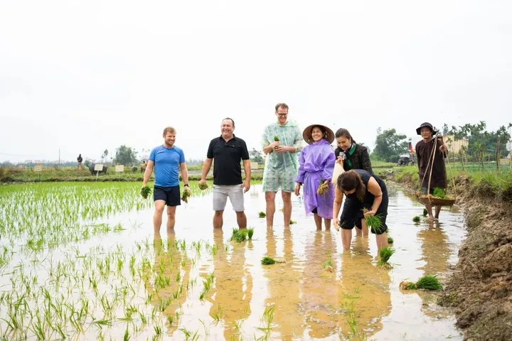 Siêu Phẩm Đầu Tư "CÓ 1 KHÔNG 2" Tại Hội An. Đất 2 Mặt VIEW LÚA - Hội An. Chạm Vào Thiên Nhiên Hoàn Hảo (MS493)