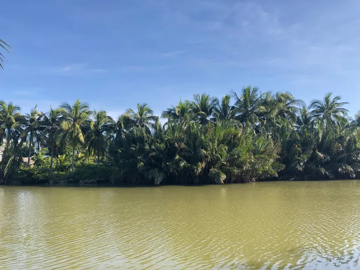 Cơ Hội Đầu Tư Sinh Lời Cao - Đất Mặt Tiền Đường Cửa Đại View Sông View Lúa Hiếm Có (MS495)