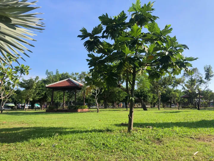 Đất Hiếm Mặt Tiền Phạm Hồng Thái Hội An – View Công Viên, Vị Trí Trung Tâm Sinh Lời Cao (MS498)