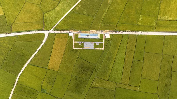 Bán đất View Lúa Cánh Đồng An Mỹ 200m - Hội An. Khu vực kinh doanh Villa, Homestay (MS05)