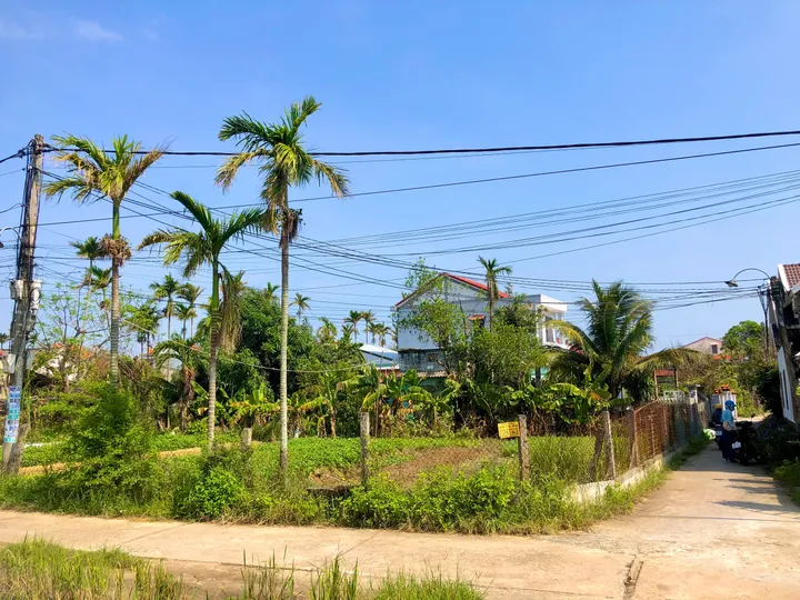 Bán đất View Lúa Cánh Đồng An Mỹ 200m - Hội An. Khu vực kinh doanh Villa, Homestay (MS05)