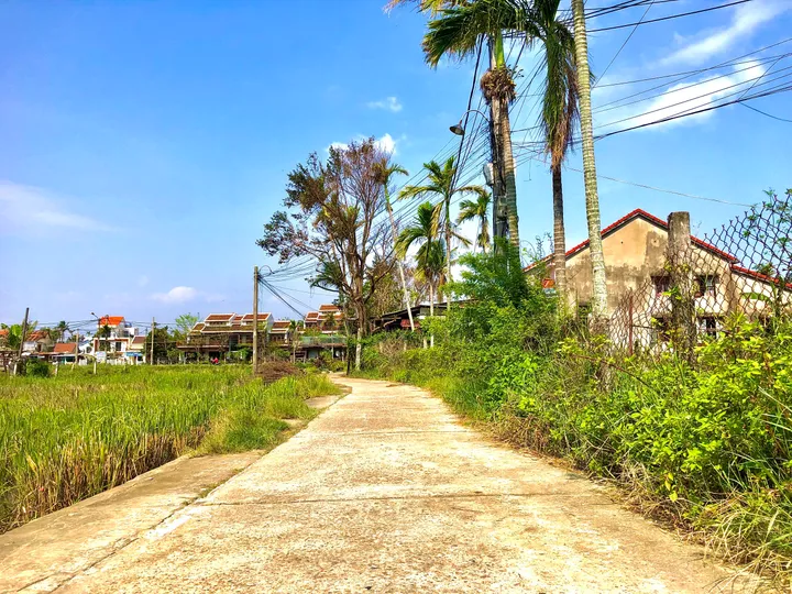 Bán đất View Lúa Cánh Đồng An Mỹ 200m - Hội An. Khu vực kinh doanh Villa, Homestay (MS05)