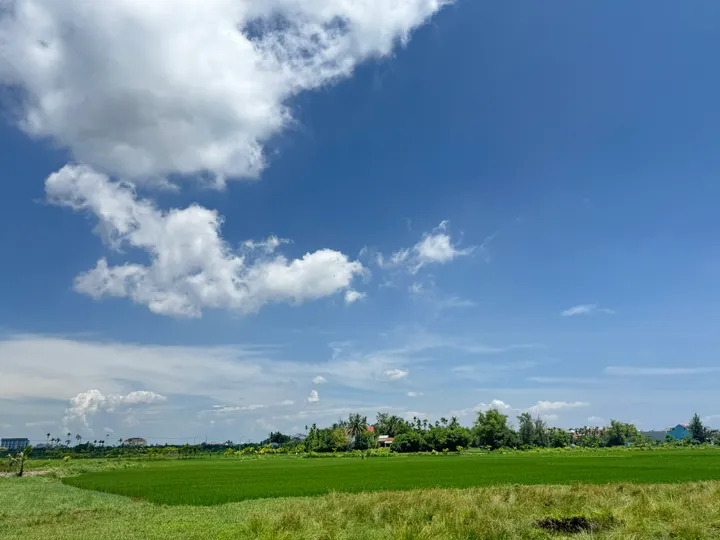 HÀNG HIẾM: Bán Đất View Lúa Lên Đến 55m – Vị Trí Thích Hợp Cho Nhà Đầu Tư Du Lịch Nghỉ Dưỡng - Cách Phố Cổ Hội An Chỉ 2km (MS539)