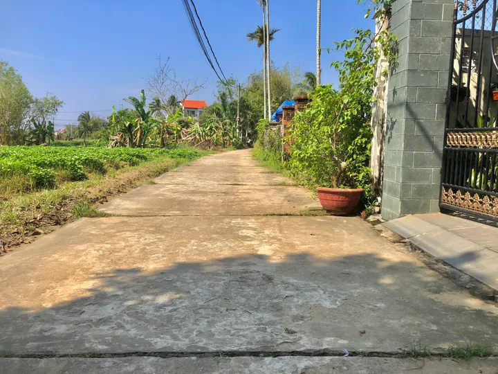 Sở Hữu Đất Nghỉ Dưỡng Giữa Cánh Đồng An Mỹ – Tặng Nhà Kiên Cố, Giá Tốt (MS510)