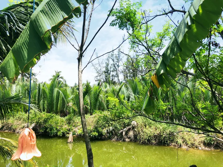 Hoàn toàn đất ở lên đến 2222m mặt tiền đường DX17 Cẩm Thanh Hội An View Dừa Sông - Phù hợp xây dựng Resort Mini (MS464)
